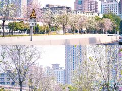 -洲头咀公园