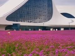 -哈尔滨大剧院