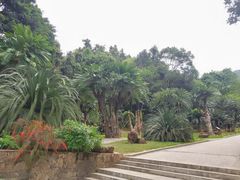-深圳仙湖植物园