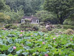 -杭州植物园