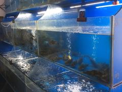 -开化佬农家菜馆(文桥路店)