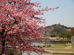 -上海辰山植物园