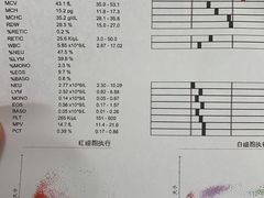 -邢大夫动物医院