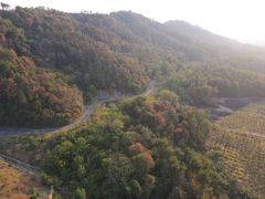 -青龙山国家森林公园