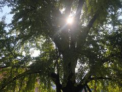 -宝通禅寺