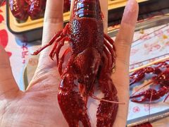 -肥肥虾庄·金牌油焖大虾(汉街SKP店)
