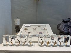 -广东中医药博物馆