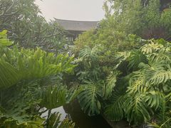 -朱家花园