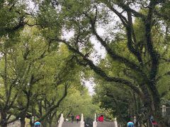 -桂林两江四湖景区