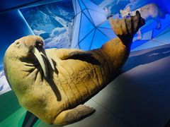 -贝林大翅鲸简餐厅(国家海洋博物馆店)