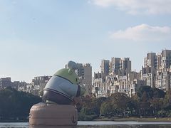 -南翔镇银翔湖公园