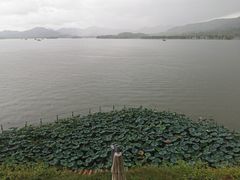 -湖畔居茶楼(湖滨店)