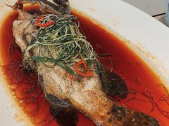 清蒸老虎斑-南景饭店(万家丽路店)