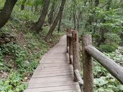 -北京上方山国家森林公园