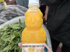-西归浦每天偶来市场
