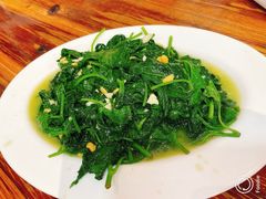 -日日香卤鹅饭店·澄海狮头鹅(澄海店)