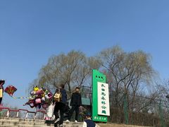 -长白岛森林公园