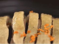 -萬國春·中菜馆(颐和公馆店)