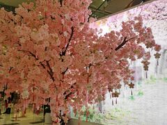 -鑫嘉汇购物中心