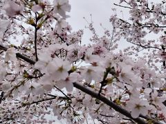 -龙美术馆(西岸馆)