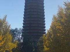 -玲珑塔公园