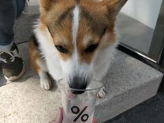 -% Arabica阿拉比卡咖啡(深圳湾万象城店)