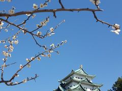 -名古屋城