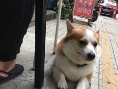 -小梁哥云吞面(黄贝岭店)