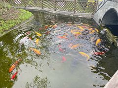 -九尺赵老四鲜鹅肠火锅