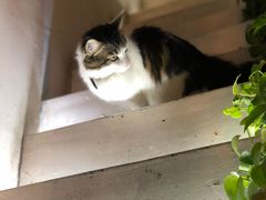 -小时光咖啡馆(北锣鼓巷店)