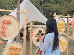 -云栖山谷野奢营地