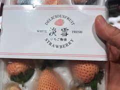 -T11生鲜超市(朝阳公园店)