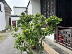-程十发艺术馆