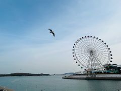 -琴岛之星摩天轮