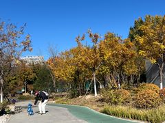 -回龙观体育文化公园