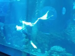 -多彩贵州城极地海洋世界