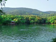 -紫霞湖公园
