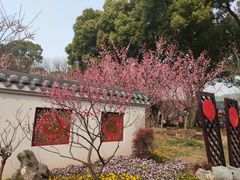 -无锡梅园公园