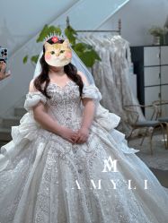 -艾米丽婚纱礼服