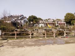 -田园东方蜜桃村的田野营地