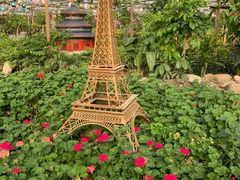 -南宫五洲植物乐园