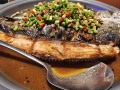 -令狐冲·炭烤活鱼(宝龙店)