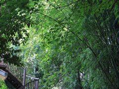 -樱桃山旅游景区