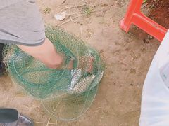 -武汉开心果园农业发展有限公司