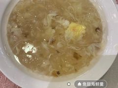 龙风鱼翅-梅龙镇酒家(南京西路总店)