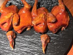 -三强鸽子(胜利路店)