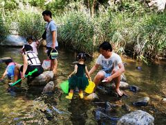-碓臼峪自然风景区