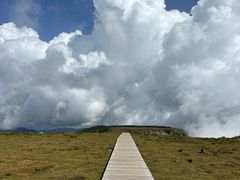 -芦芽山旅游度假区
