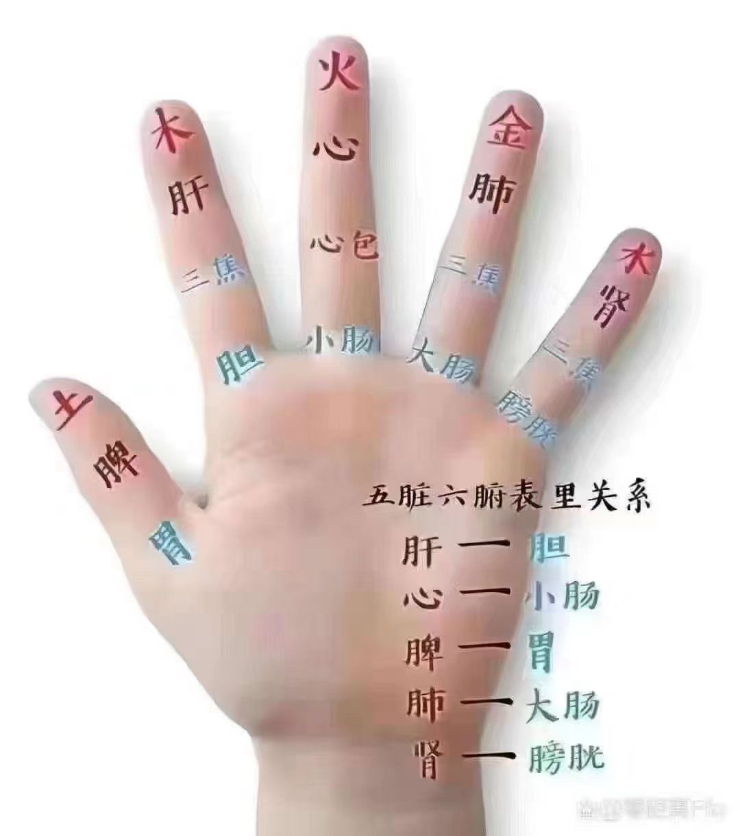 按手,能促进手部血液循环,让每一根手指都像是被注入了活力,变得更加