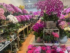 -双季花艺园艺市场(浦东店)